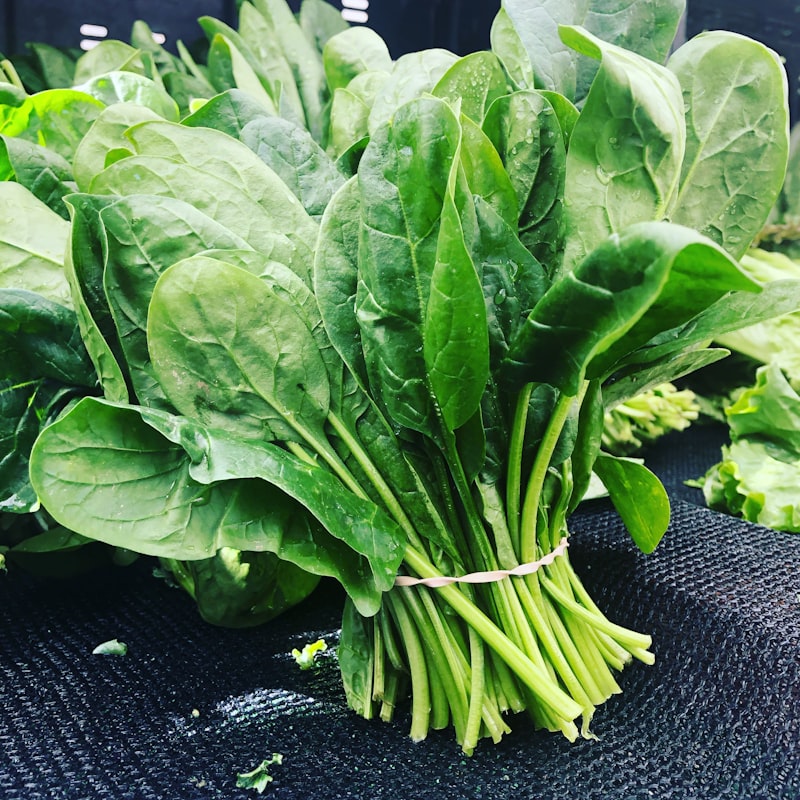 Organic Dino Kale (Large Bunch)